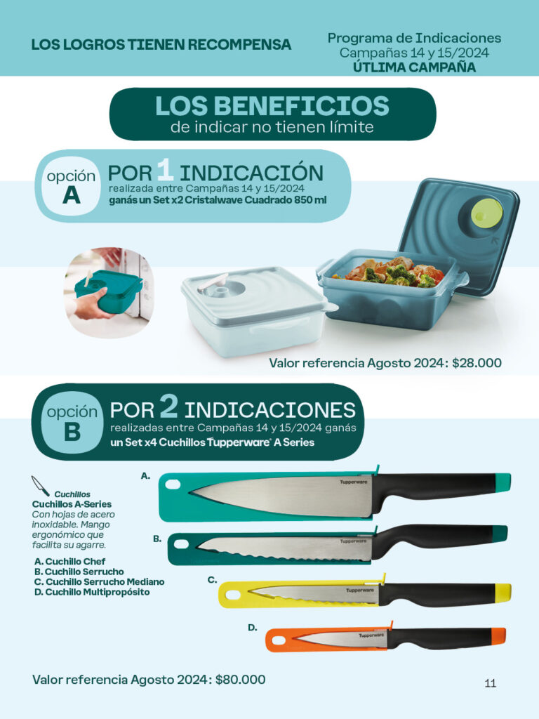 ElNegocioC15-202411