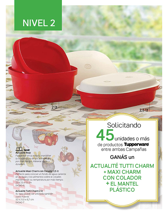 Incentivos C 4 Y 5-2022 simples_Page_3
