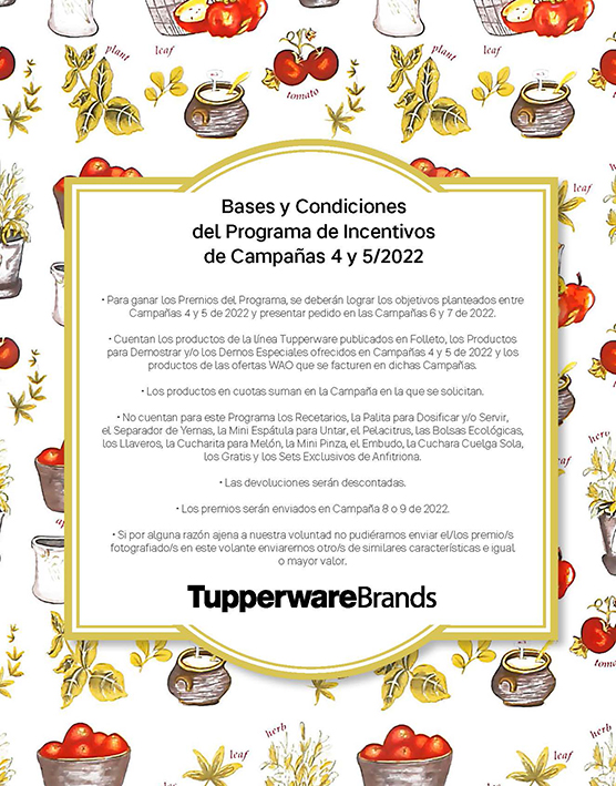 Incentivos C 4 Y 5-2022 simples_Page_5