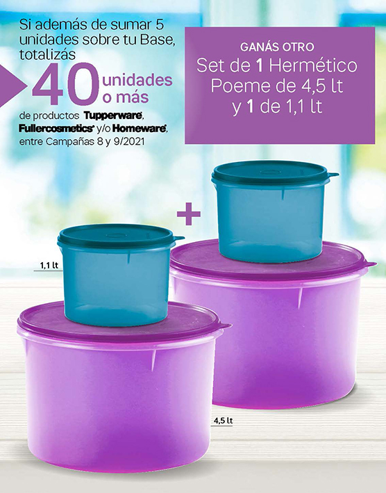 Incentivos C12 y 13-2020 final pagina simple_Page_3