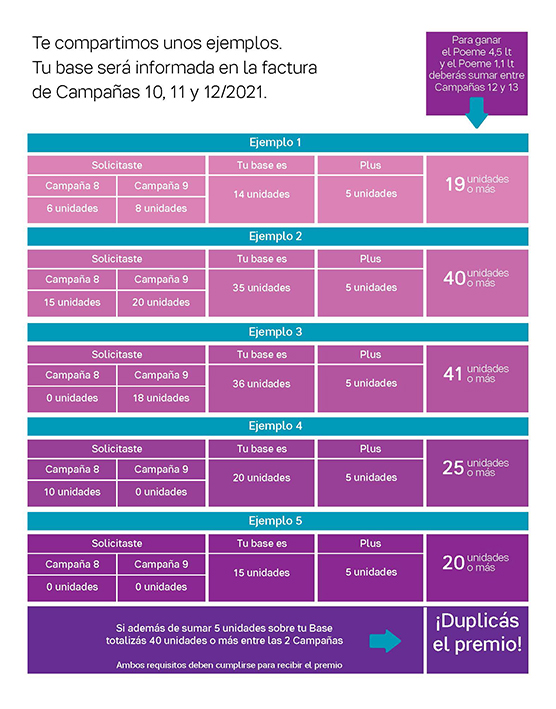 Incentivos C12 y 13-2020 final pagina simple_Page_4