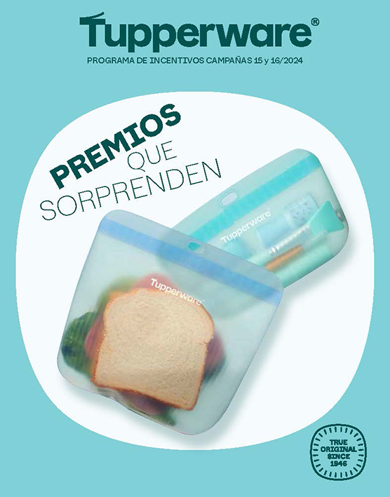 Incentivos C15 y 16-2024_Page_1