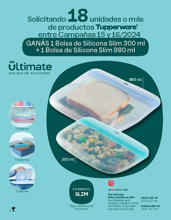 Incentivos C15 y 16-2024_Page_2