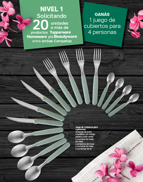 Incentivos C15 y C16-2023_Page_2