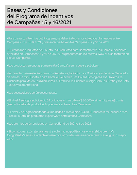 Incentivos C15 y16 -2021 paginas simples_Page_4