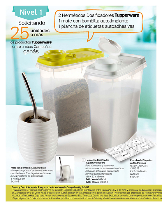 Incentivos C6 y 7-19_Page_2