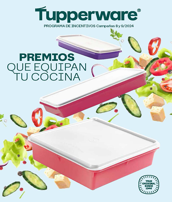 Incentivos C8 y 9-2024_Page_1