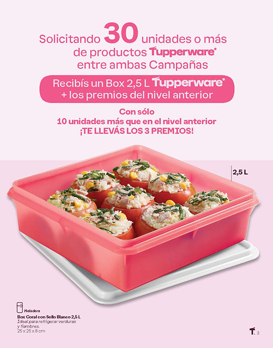 Incentivos C8 y 9-2024_Page_3