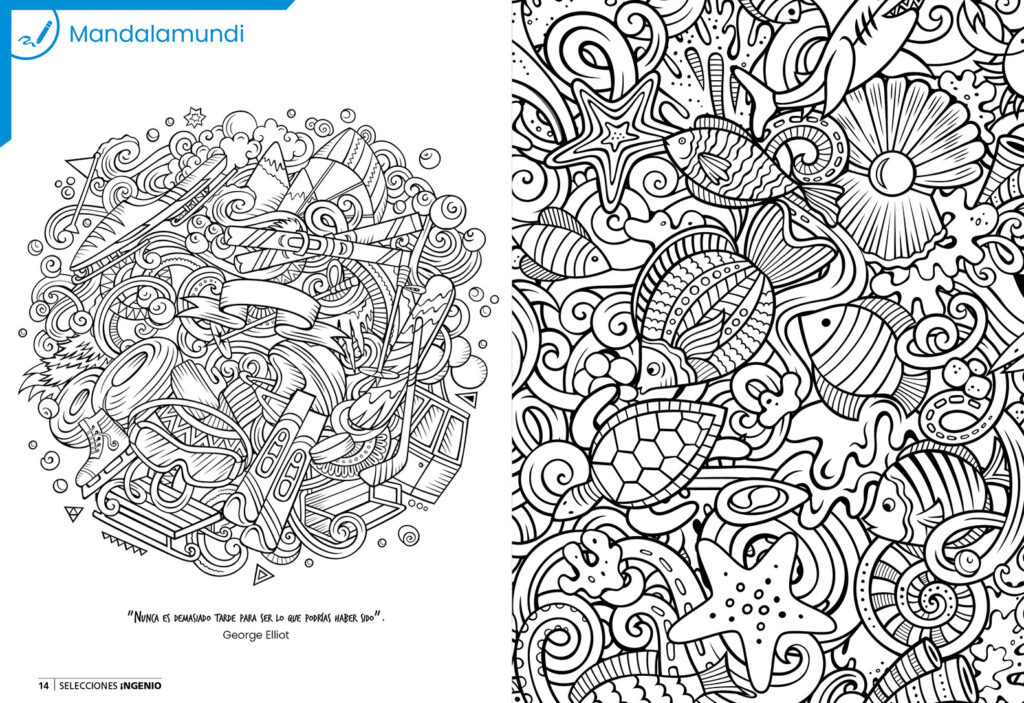Ingenio_No85_14-19_mandalamundi