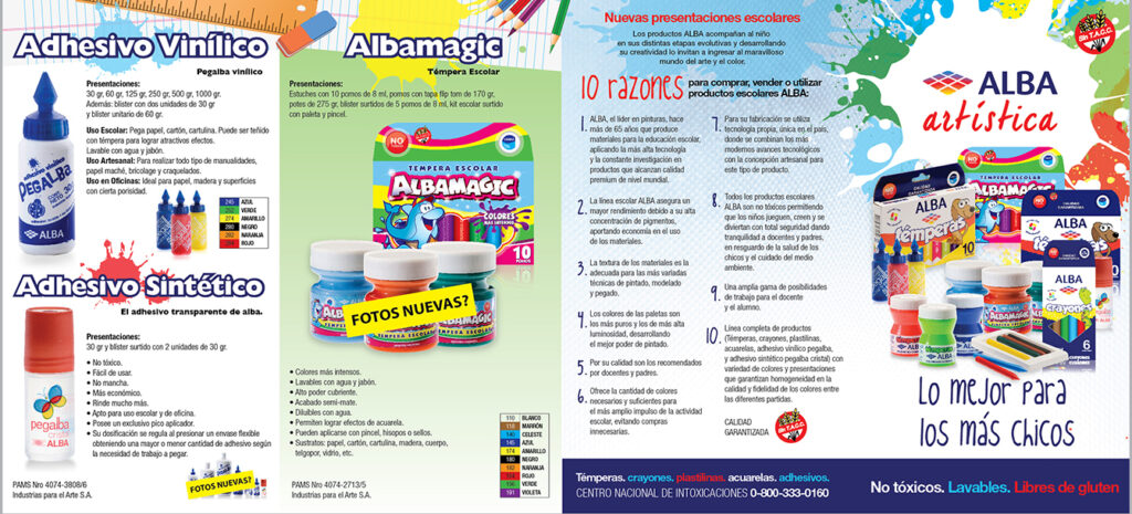 triptico profesional